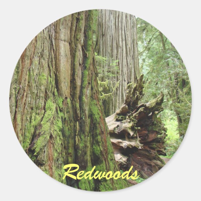 Redwood stickers Big Redwoods Tree Forest (Front)