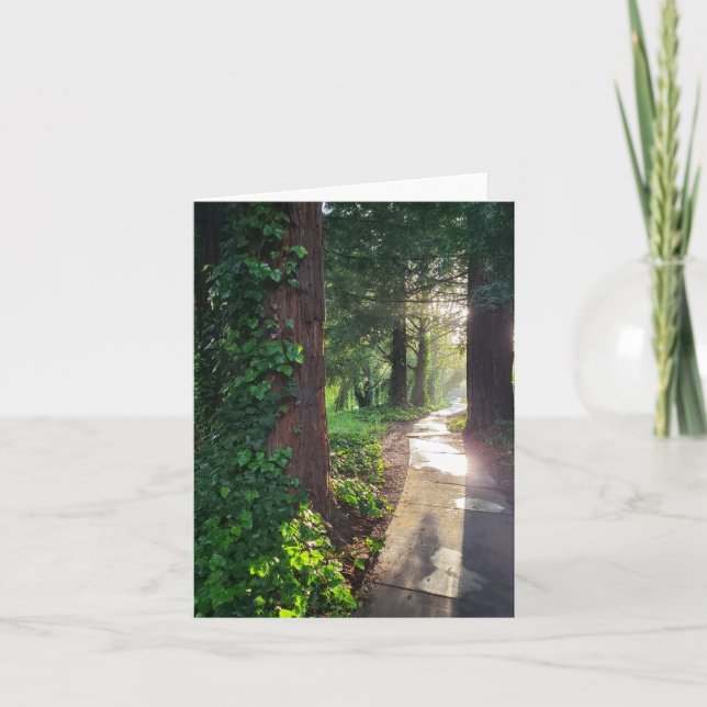 Redwood sunlit path greeting card (Front)