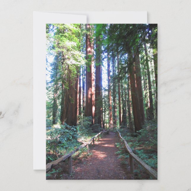 Redwood Trail Norther California  Invitation (Front)