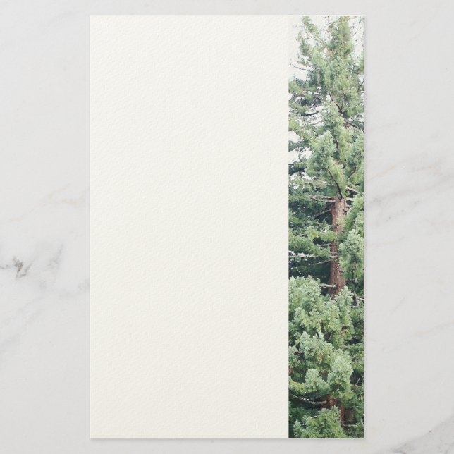 Redwood Tree Stationery (Front)