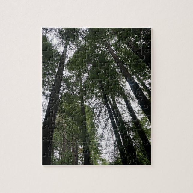 Redwood Trees #3 Jigsaw Puzzle (Vertical)