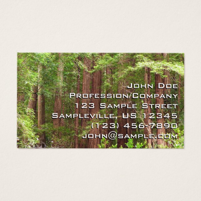 Redwood Trees at Muir Woods National Monument (Front)