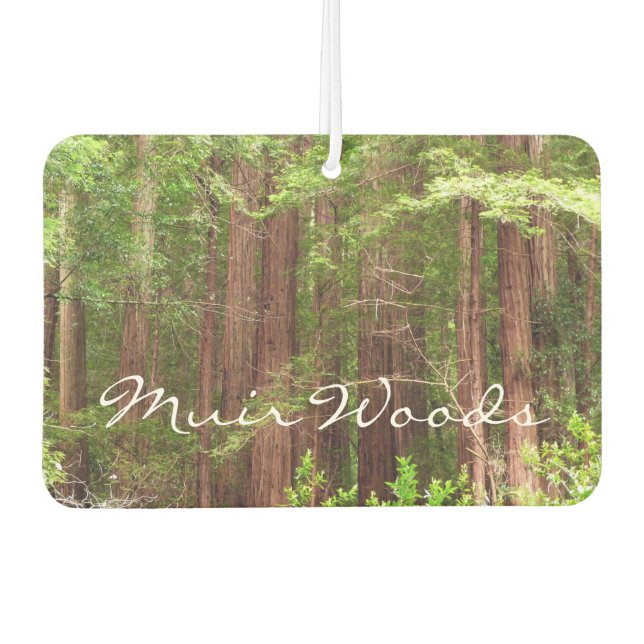 Redwood Trees at Muir Woods National Monument Car Air Freshener (Front)
