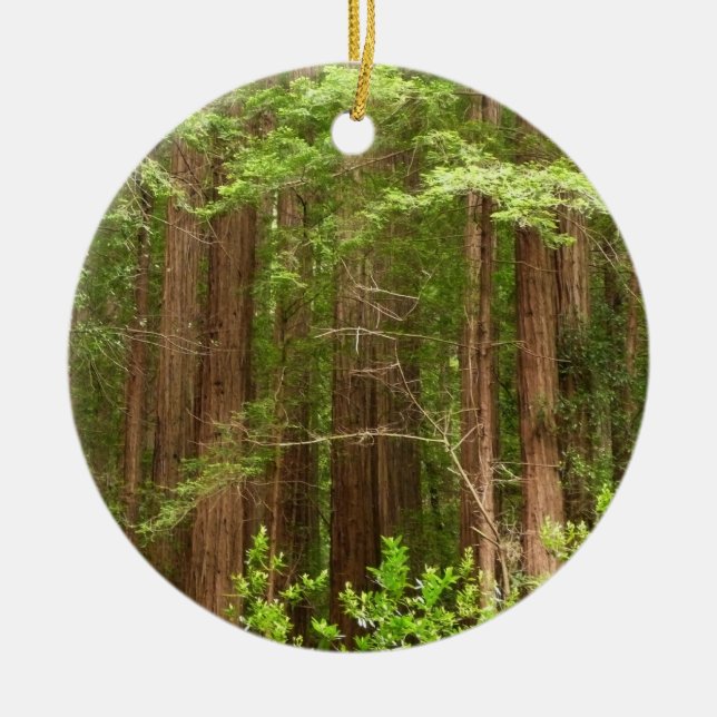 Redwood Trees at Muir Woods National Monument Ceramic Tree Decoration (Front)