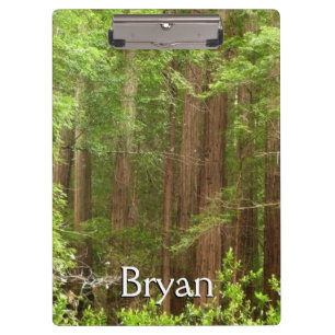 Redwood Trees at Muir Woods National Monument Clipboard
