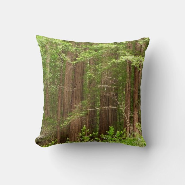 Redwood Trees at Muir Woods National Monument Cushion (Front)