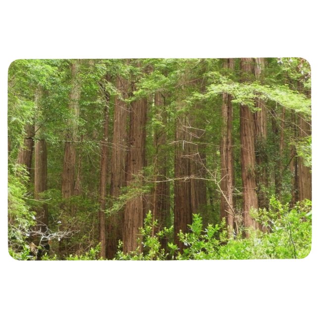 Redwood Trees at Muir Woods National Monument Floor Mat (Front)