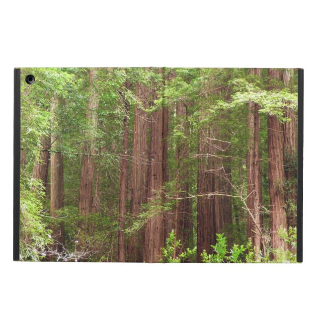 Redwood Trees at Muir Woods National Monument iPad Air Case (Outside)