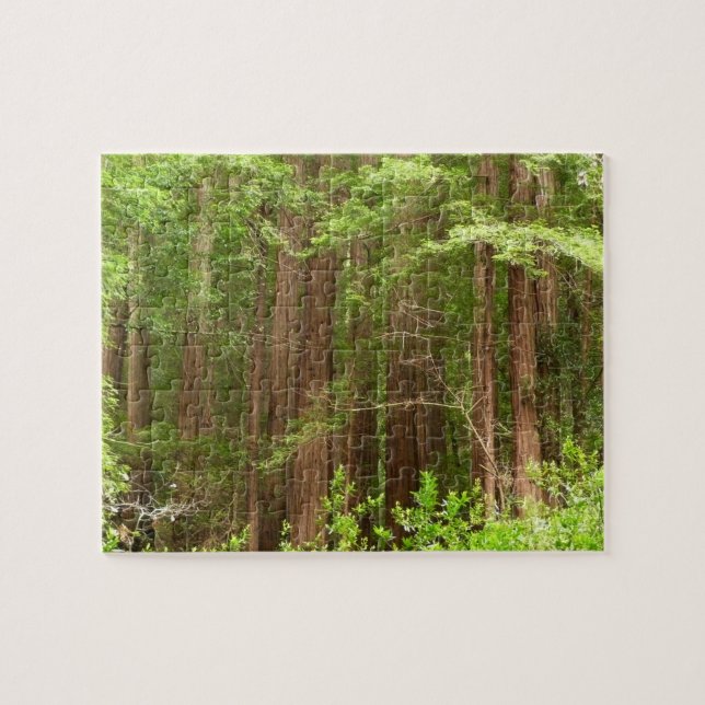 Redwood Trees at Muir Woods National Monument Jigsaw Puzzle (Horizontal)