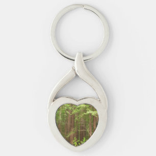 Redwood Trees at Muir Woods National Monument Key Ring
