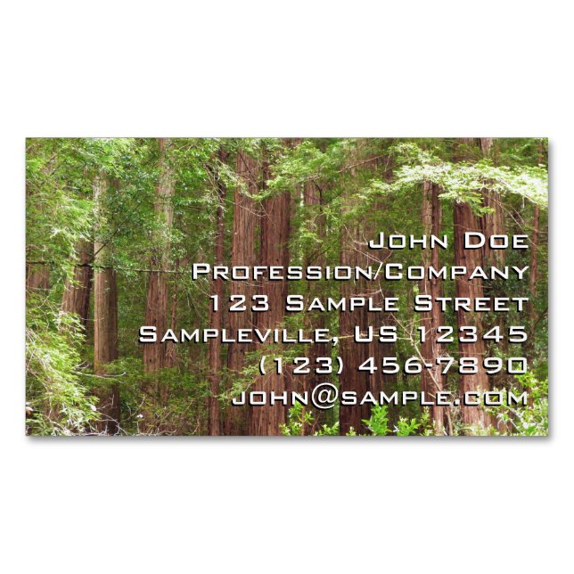 Redwood Trees at Muir Woods National Monument Magnetic Business Card (Front)