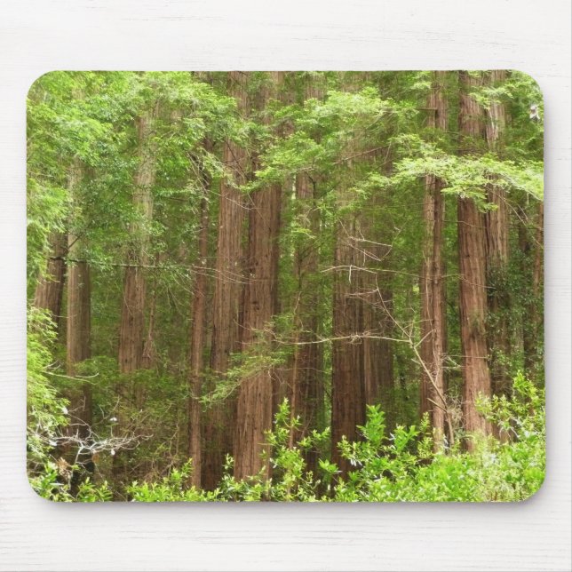 Redwood Trees at Muir Woods National Monument Mouse Mat (Front)
