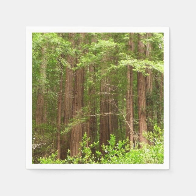 Redwood Trees at Muir Woods National Monument Napkin (Front)