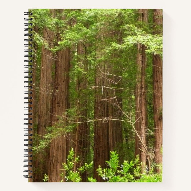 Redwood Trees at Muir Woods National Monument Notebook (Front)