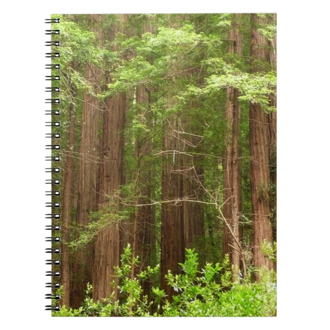 Redwood Trees at Muir Woods National Monument Notebook (Front)