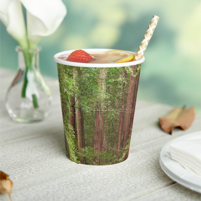 Redwood Trees at Muir Woods National Monument Paper Cups (Insitu)