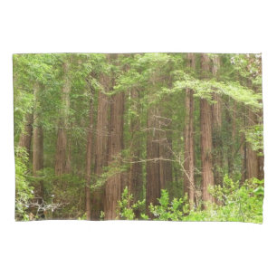 Redwood Trees at Muir Woods National Monument Pillowcase