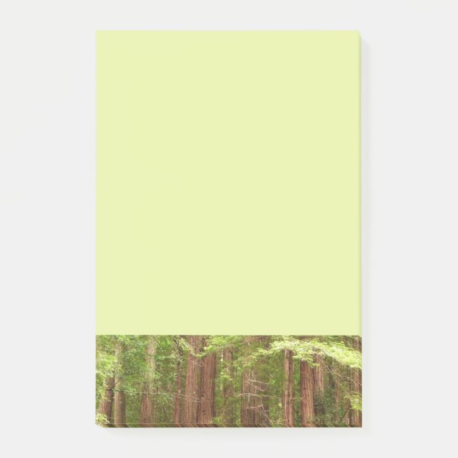 Redwood Trees at Muir Woods National Monument Post-it Notes (Front)