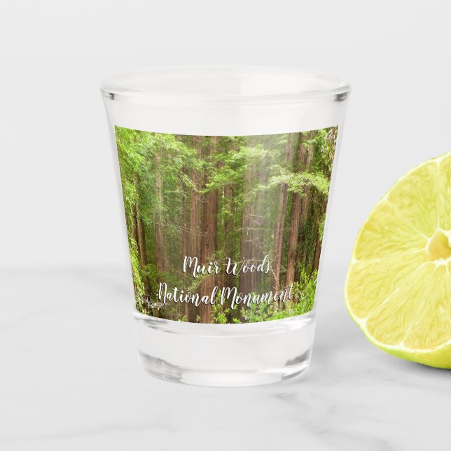 Redwood Trees at Muir Woods National Monument Shot Glass (Front)