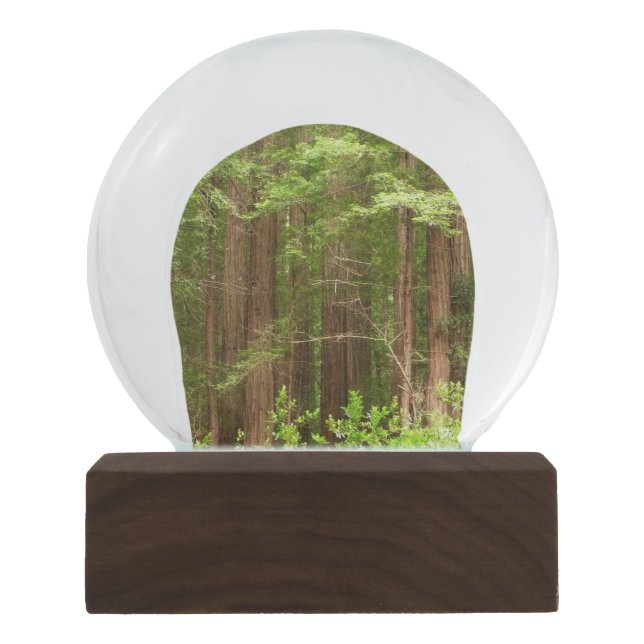 Redwood Trees at Muir Woods National Monument Snow Globe (Front)