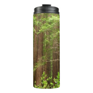 Redwood Trees at Muir Woods National Monument Thermal Tumbler