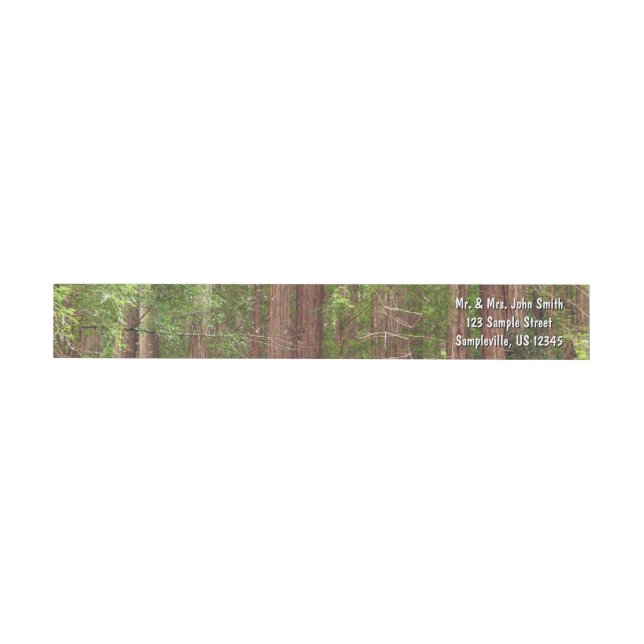Redwood Trees at Muir Woods National Monument Wrap Around Label (Individual)