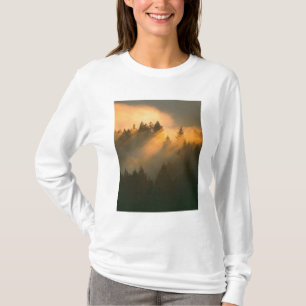 Redwood trees in coastal fog, Marin County, T-Shirt
