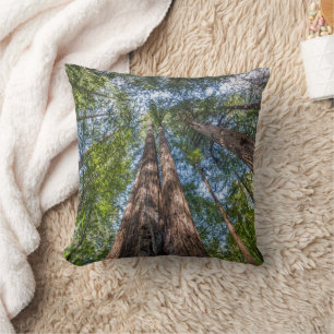 Redwood Trees   Marin County, California Cushion