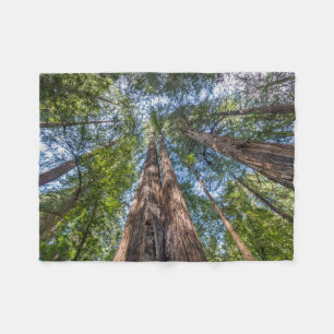 Redwood Trees   Marin County, California Fleece Blanket