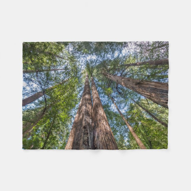 Redwood Trees | Marin County, California Fleece Blanket (Front (Horizontal))