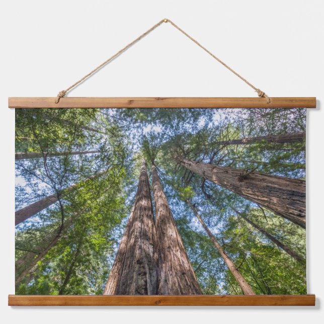 Redwood Trees | Marin County, California Hanging Tapestry (Front)