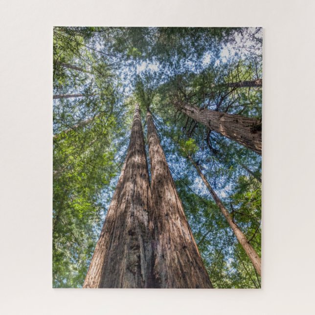 Redwood Trees | Marin County, California Jigsaw Puzzle (Vertical)