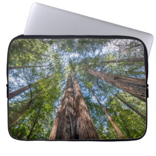 Redwood Trees   Marin County, California Laptop Sleeve