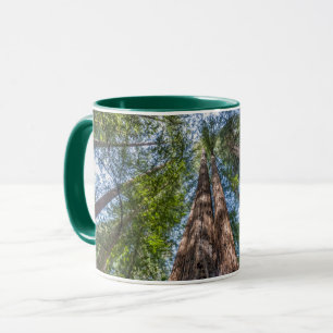 Redwood Trees   Marin County, California Mug
