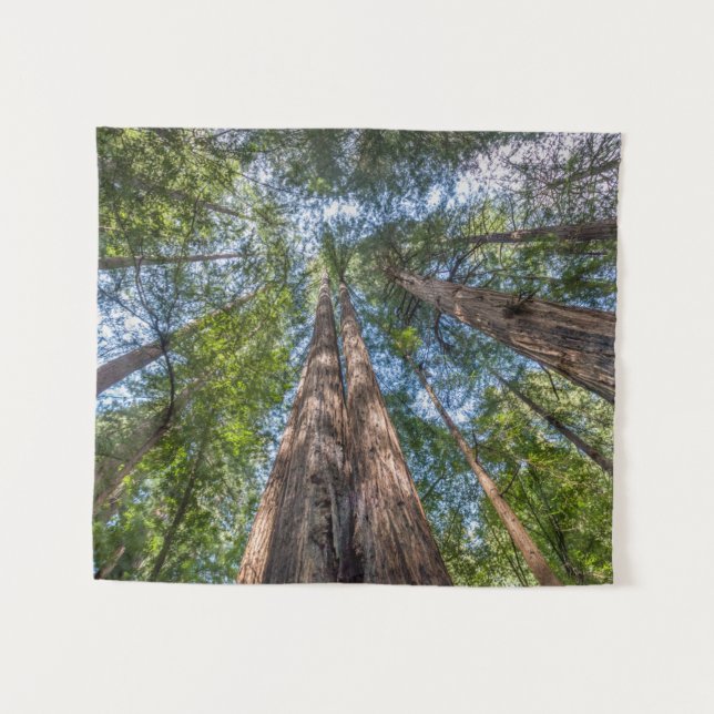 Redwood Trees | Marin County, California Tapestry (Front (Horizontal))