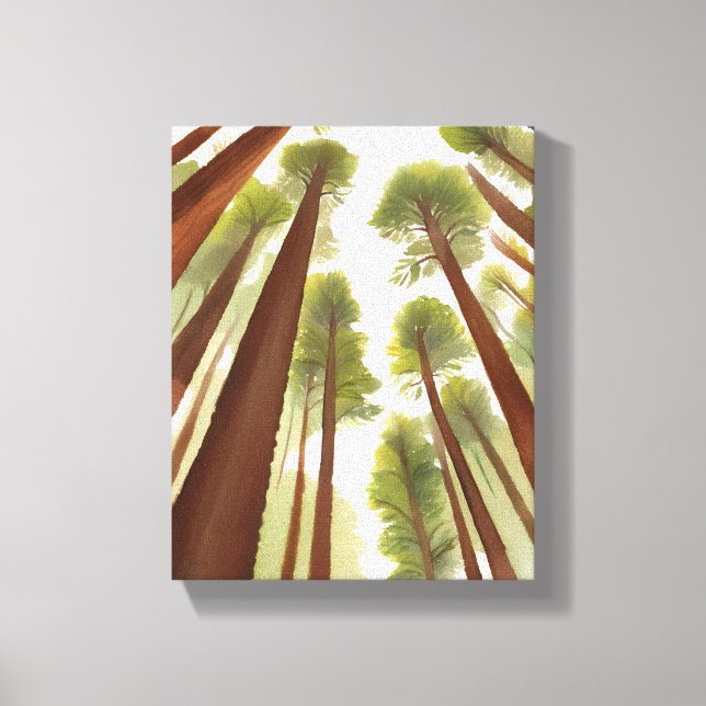Redwood Trees | Redwood National Park Watercolor Canvas Print (Front)