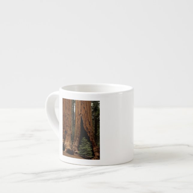 Redwood Trees, Sequoia National Park. Espresso Cup (Front Left)