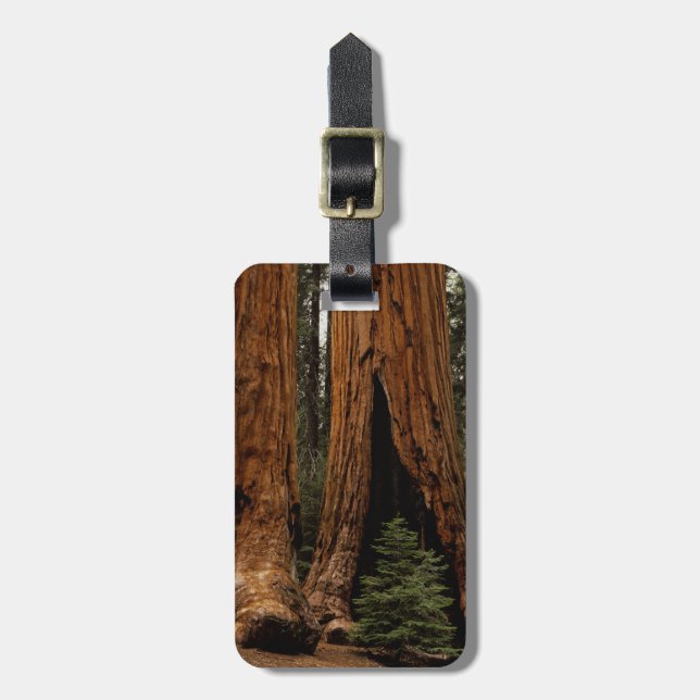 Redwood Trees, Sequoia National Park. Luggage Tag (Front Vertical)