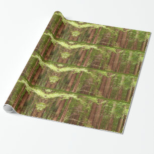 Redwood Trees Wrapping Paper