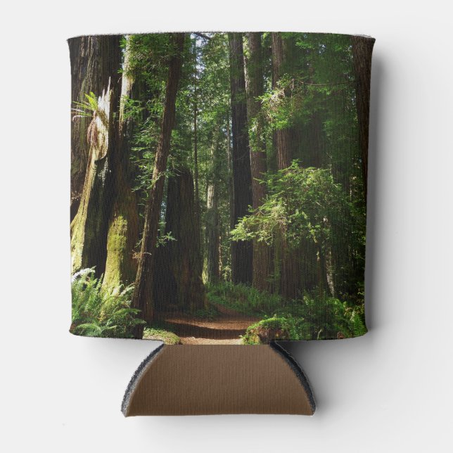 Redwoods and Ferns at Redwood National Park Can Cooler (Front)