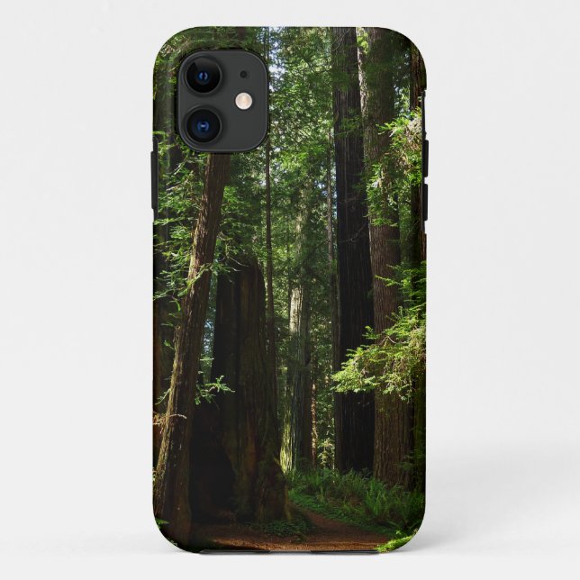 Redwoods and Ferns at Redwood National Park Case-Mate iPhone Case (Back)