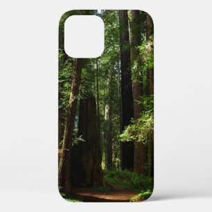 Redwoods and Ferns at Redwood National Park iPhone 12 Case