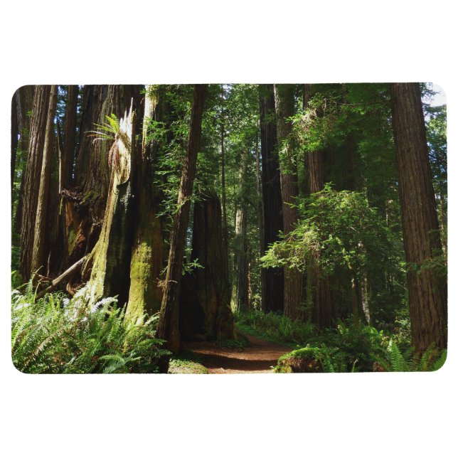 Redwoods and Ferns at Redwood National Park Floor Mat (Front)