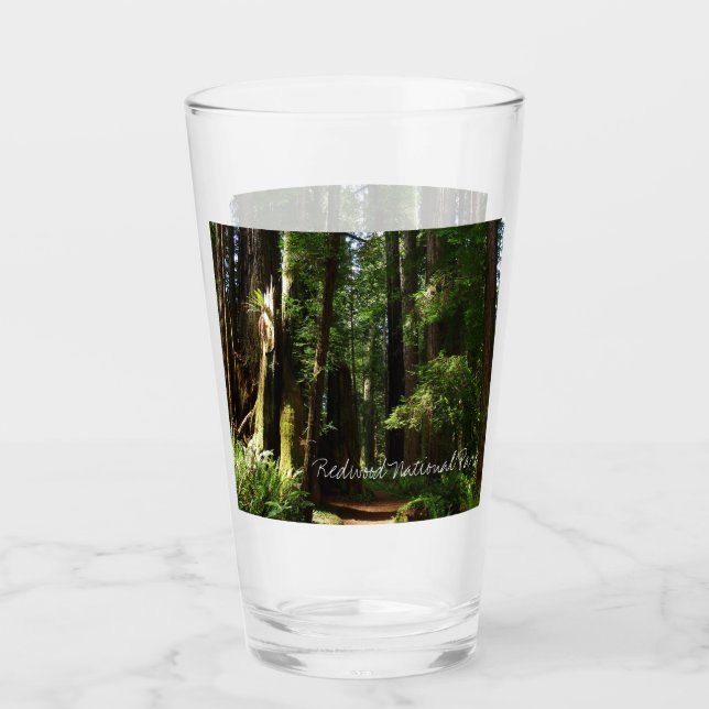 Redwoods and Ferns at Redwood National Park Glass (Front)