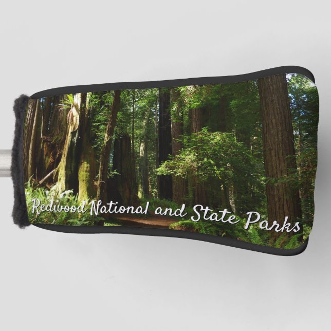 Redwoods and Ferns at Redwood National Park Golf Head Cover (Front)