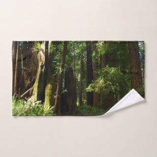 Redwoods and Ferns at Redwood National Park Hand Towel