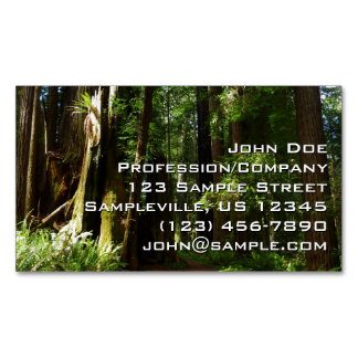 Redwoods and Ferns at Redwood National Park Magnetic Business Card