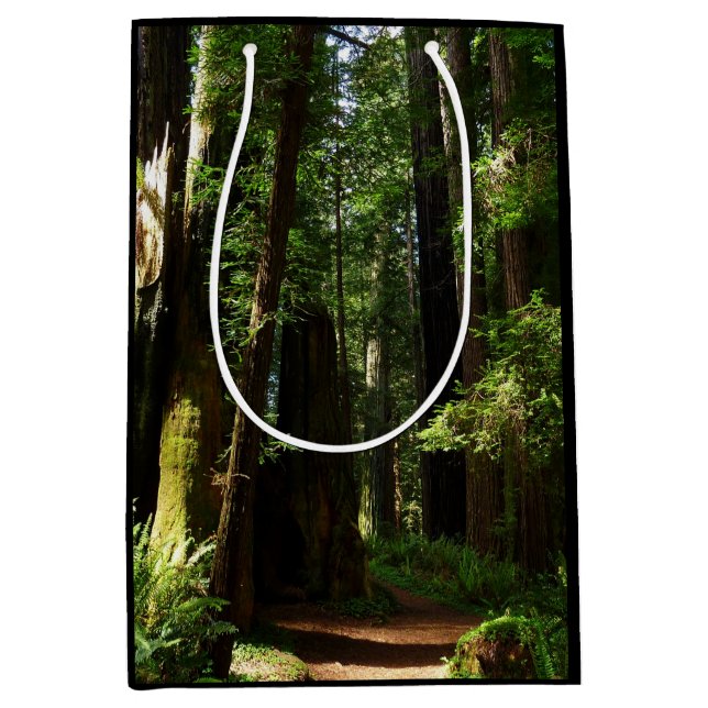 Redwoods and Ferns at Redwood National Park Medium Gift Bag (Front)