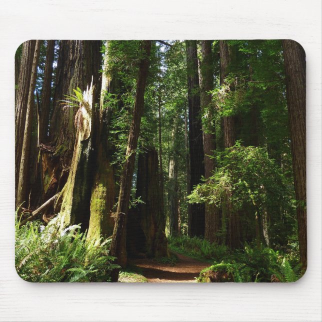 Redwoods and Ferns at Redwood National Park Mouse Mat (Front)