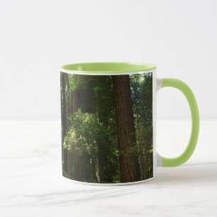 Redwoods and Ferns at Redwood National Park Mug